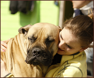 犬に特化した獣医になれる ドッグトレーニング資格情報サイト